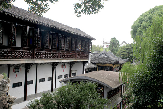 蘇州獅子林風(fēng)光