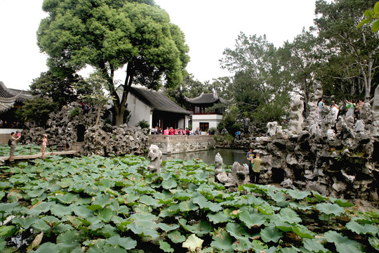 蘇州獅子林風(fēng)光