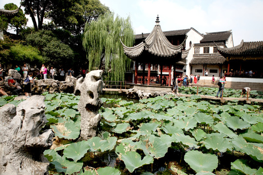 蘇州獅子林風(fēng)光