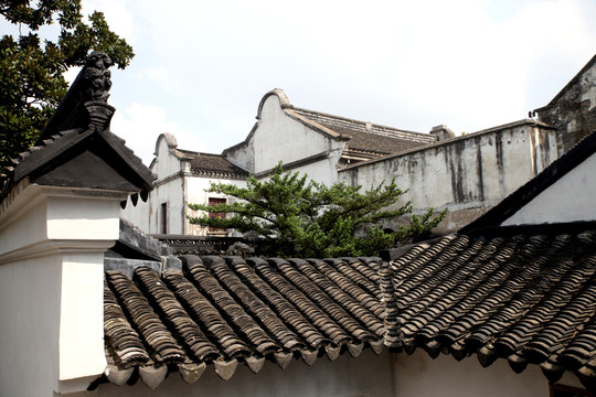 蘇州獅子林古典建筑