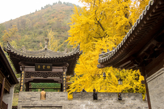 秦嶺山下古觀音禪寺