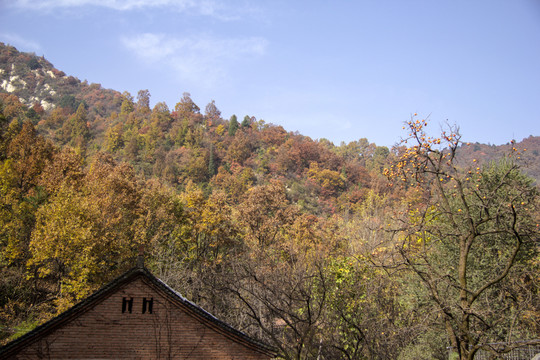 秦嶺山居