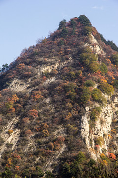 秦嶺山脊