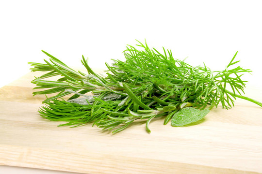 草本植物