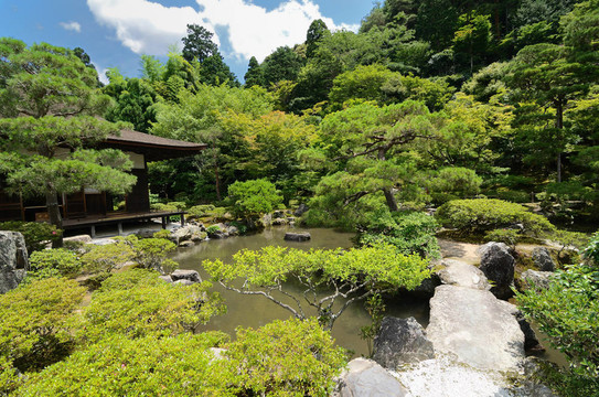 京都閣花園