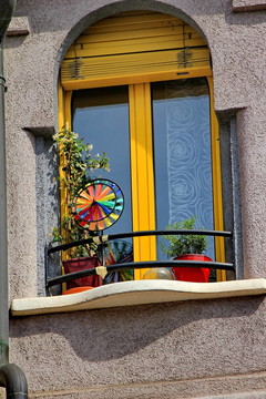 Windows和鮮花