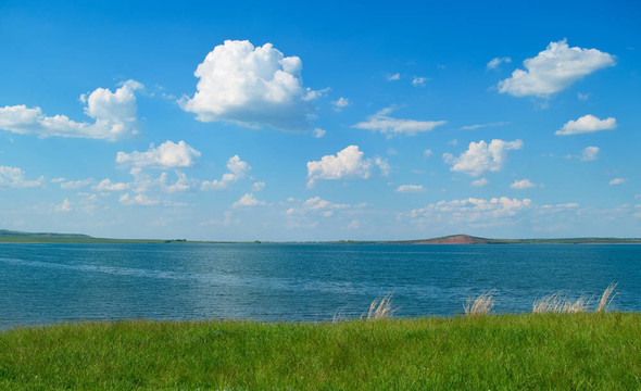 夏天的風景