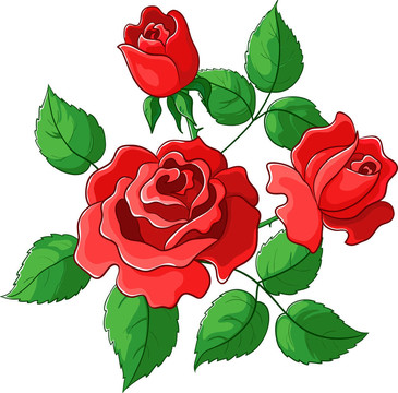 鮮花玫瑰