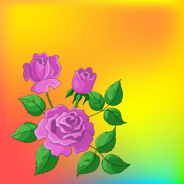 花背景；玫瑰