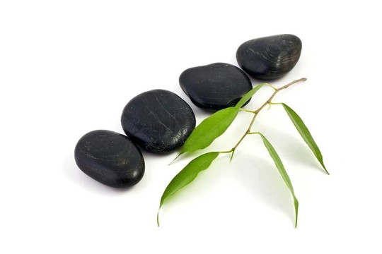 石頭和樹葉