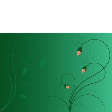 花的背景2
