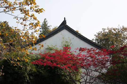 古建筑屋頂一角