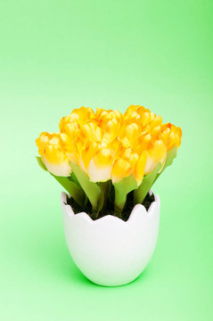 五顏六色的郁金香花在白壺里