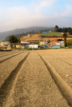 鄉(xiāng)村的風(fēng)景