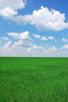 綠地與天空