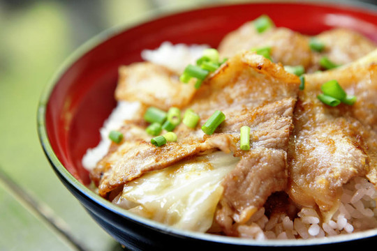 豬肉飯