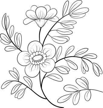 抽象花；輪廓