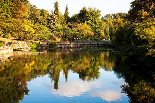 美麗的自然公園