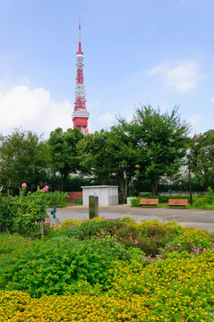 東京；日本