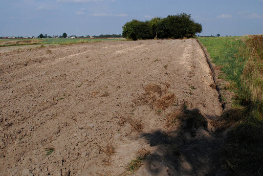 夏天的風(fēng)景