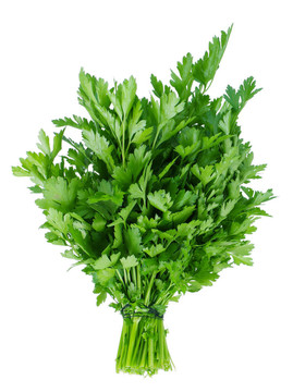新鮮歐芹