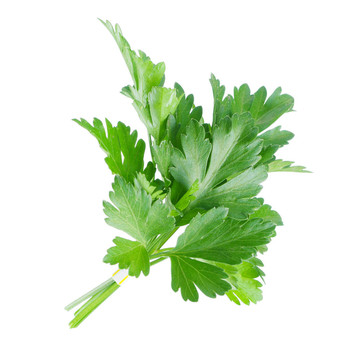 新鮮歐芹