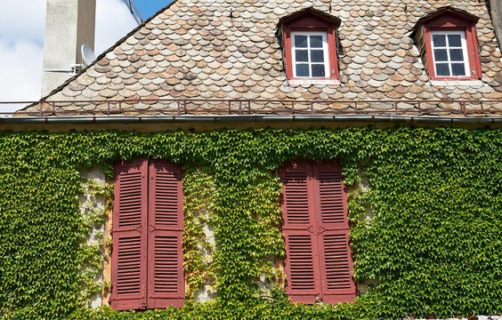 Windows