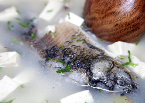 鯽魚豆腐湯