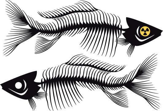 魚骨；載體