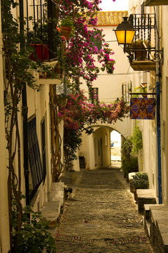 達(dá)克斯Costa Brava街；