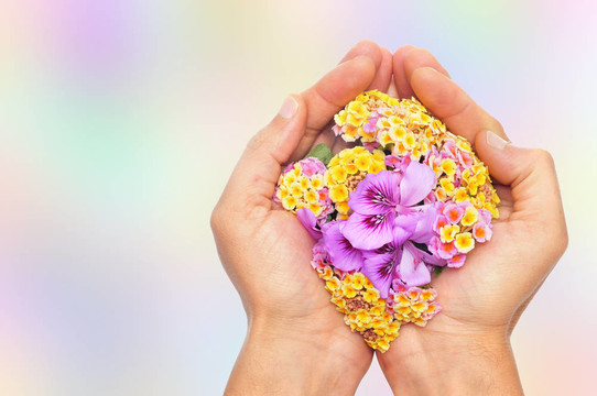 把花