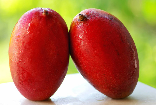 兩個(gè)熱帶芒果。
