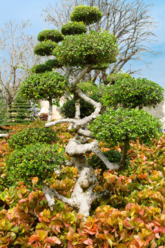 泰國(guó)美麗的花園