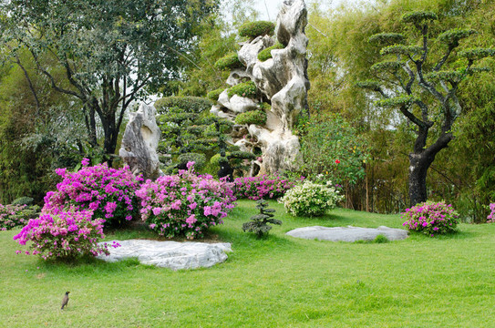 泰國美麗的花園