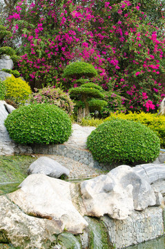 熱帶花園