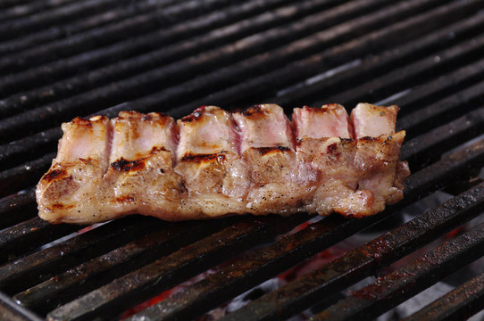 烹調(diào)肉類燒烤