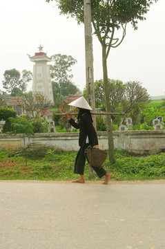 老農(nóng)民Kinh（越南）