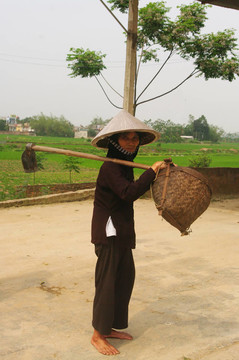 老農(nóng)民Kinh（越南）