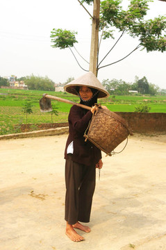 老農(nóng)民Kinh（越南）