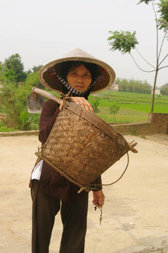 老農(nóng)民Kinh（越南）