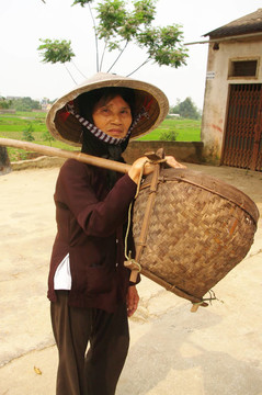 老農(nóng)民Kinh（越南）