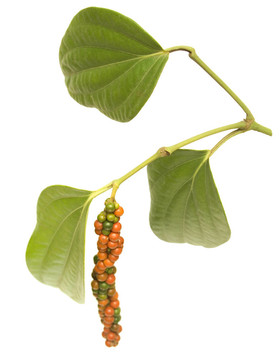 紅色和綠色的胡椒漿果