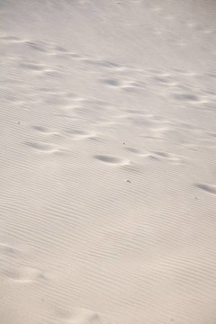 輕輕的腳步聲