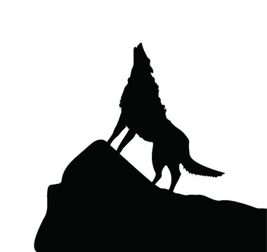 狼