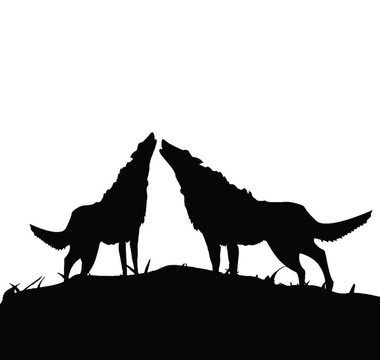狼