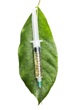 葉上的注射器