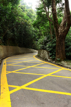 有黃線的道路