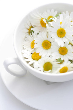 洋甘菊茶