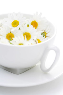 洋甘菊茶