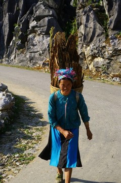 白苗族婦女背著木